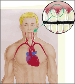 Mouth-Body Connection